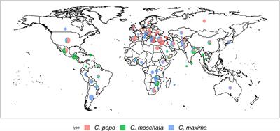 Characterization of the USDA Cucurbita pepo, C. moschata, and C. maxima germplasm collections